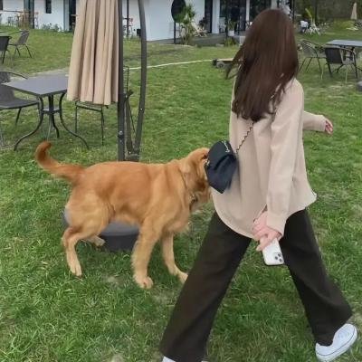 记忆的芬芳 海报